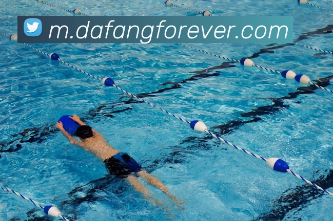 大发彩票全站App